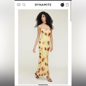 Dynamite Monet Mesh Maxi Dress